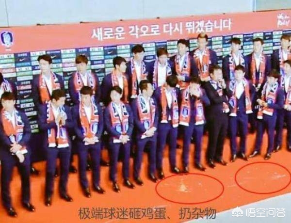 鸡蛋事件男子道歉（韩国队击败德国后，回国集体鞠躬道歉却仍遭球迷扔鸡蛋，对此你怎么看？）