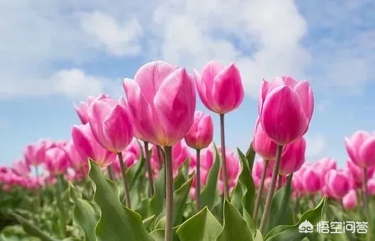 暑假送外卖月入过万