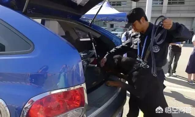 乌鲁木齐 二手车