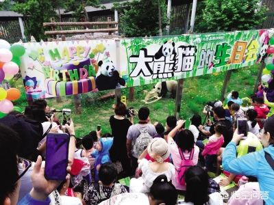 沈阳市哪个动物园有熊猫