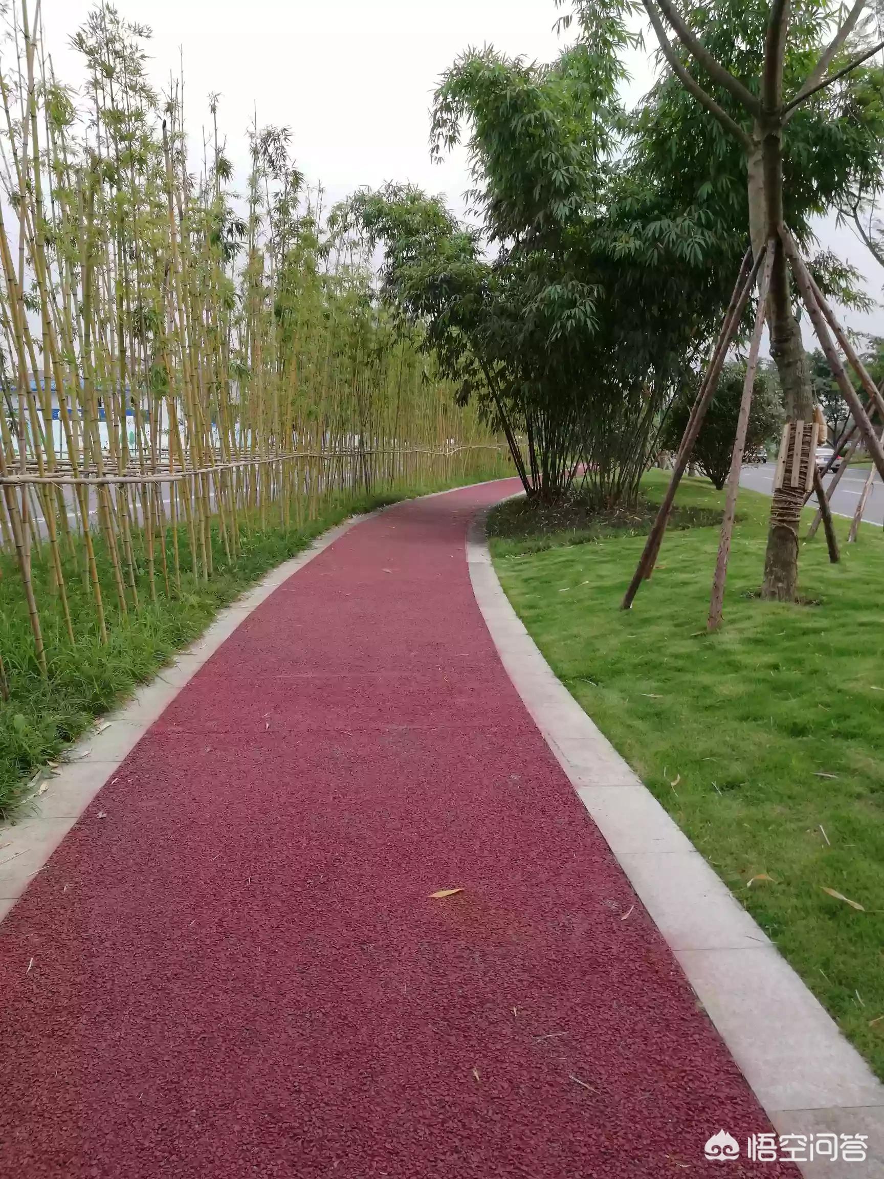 海外生活应该如何选择，海外生活应该如何选择城市