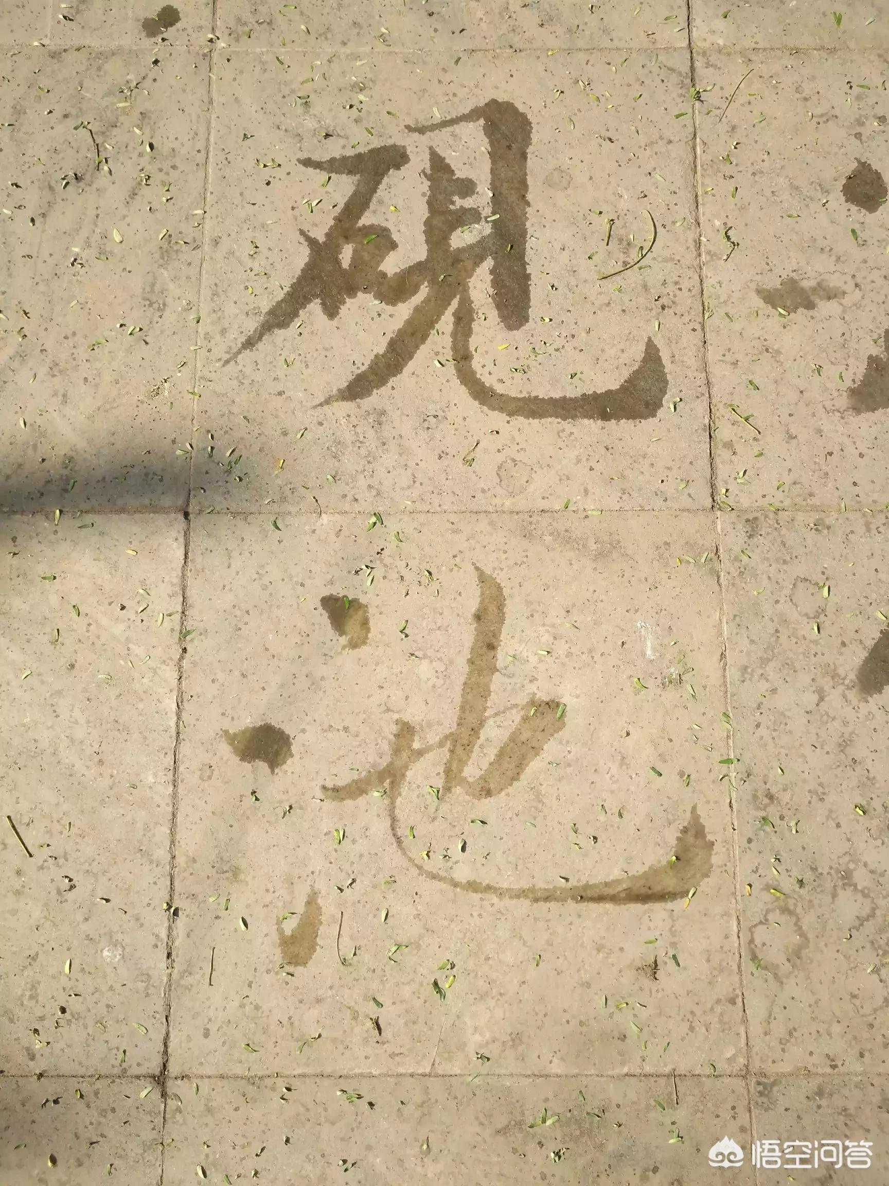瘦金体字帖楷书字体临摹