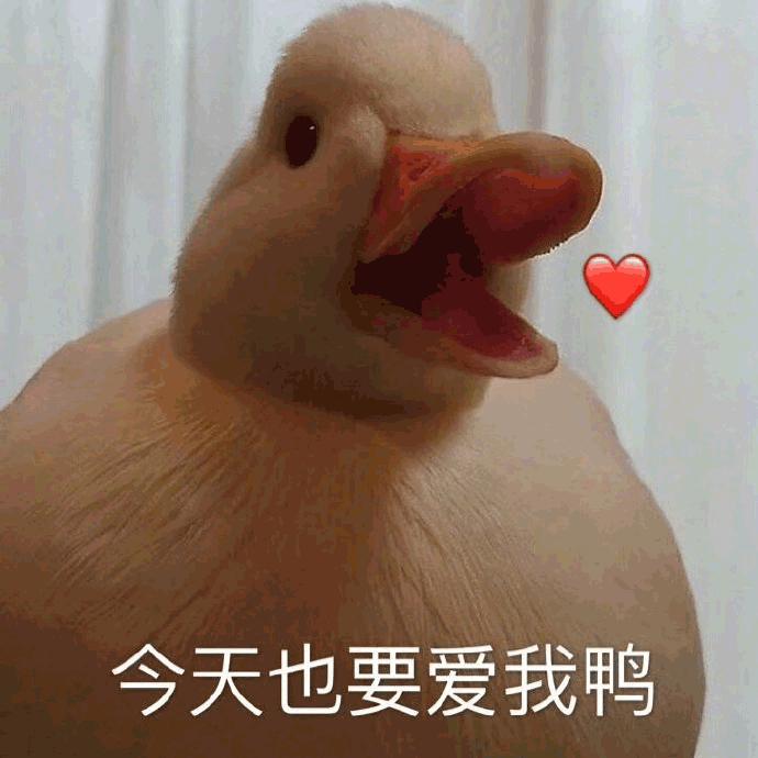 ,奇葩的小三室户型,到底该怎么设计呢?