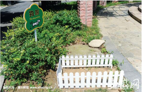 合肥多个小区设“狗狗便便箱”，引导宠物狗定点排便，你怎么看？