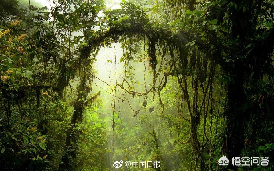 怎么去了解海外生活服务，怎么去了解海外生活服务行业