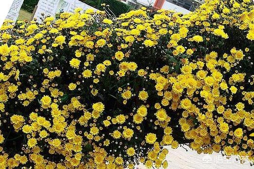 你有没有想过我(你就没有想过我什么意思?) 你有没有想过我(你就没有想过我什么意思?)