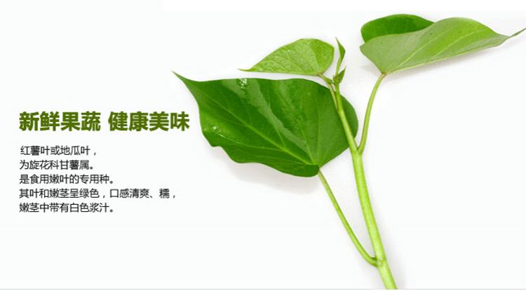 红薯叶一斤卖300