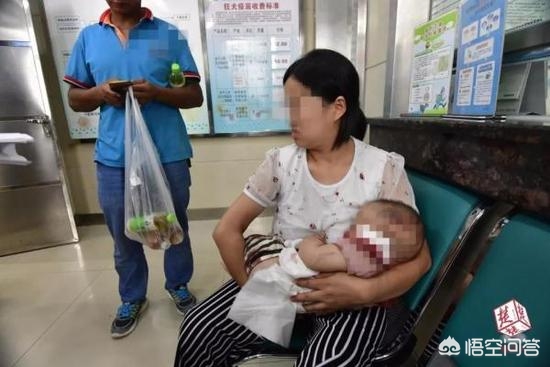 被狗绊倒刺死老太（如何看待武汉一小区2条狗叼走半岁宝宝，养狗八旬老太被控制一事？）