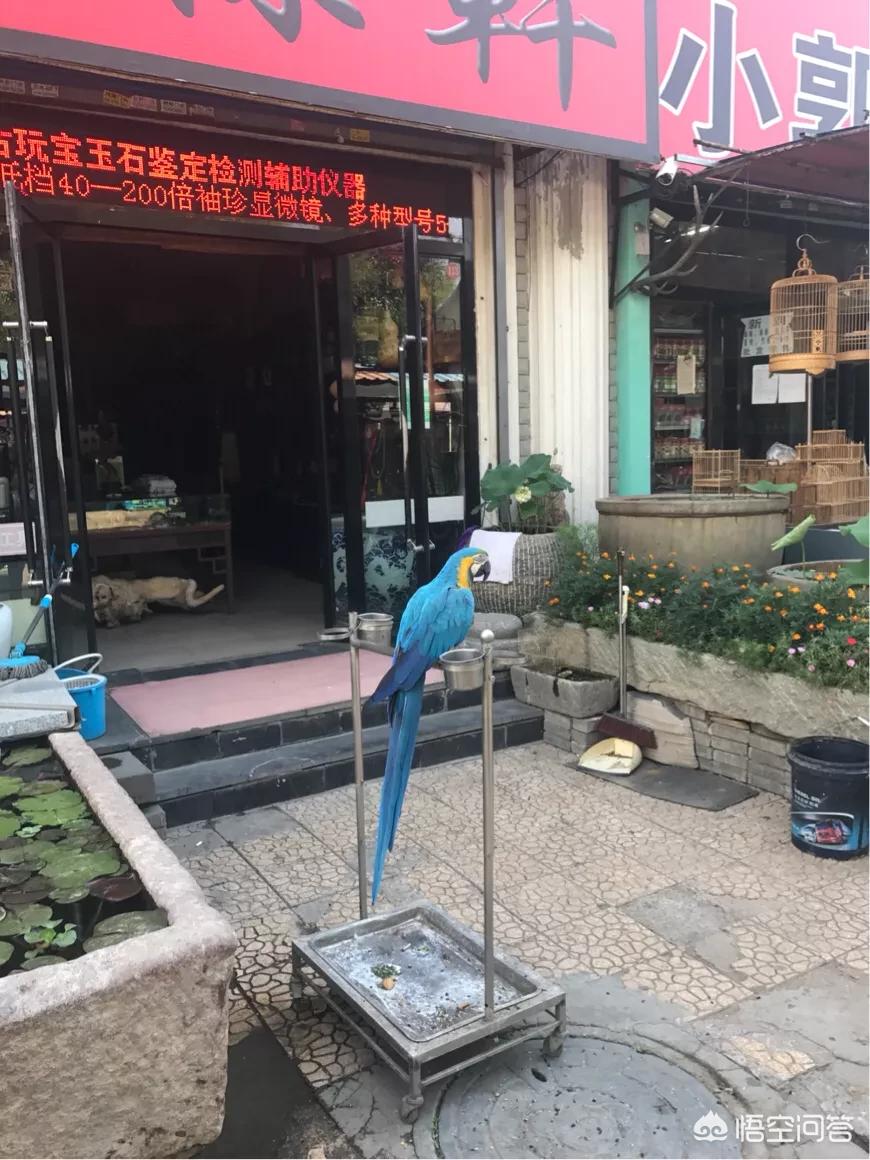 边境30天，边境30天漫画最新章节更新