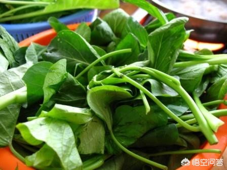 红薯叶一斤卖300
