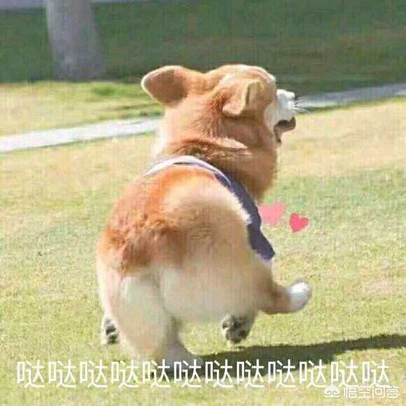 直接看（哪个app可以直接看电视？）