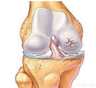 每日推荐是什么意思？：每日推荐