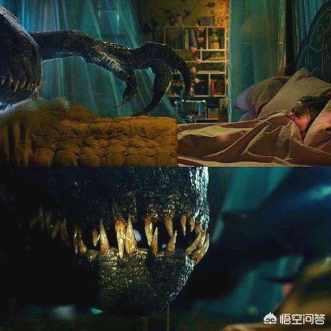 霸王龙 海外生活，霸王龙 海外生活视频大全