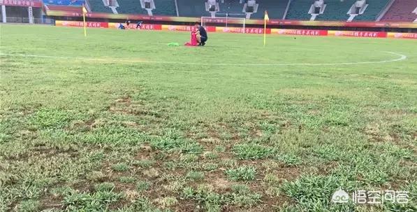中超联赛江苏苏宁在菜地上战平河南建业，对此你怎么看？