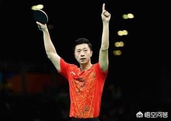 樊振东入美职业联赛