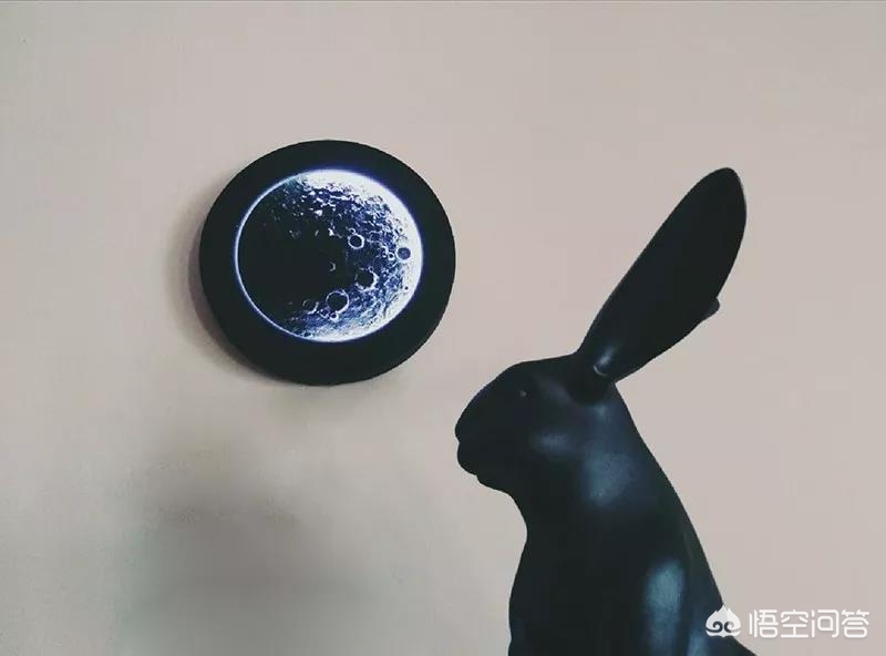 平价好物美妆刷子
