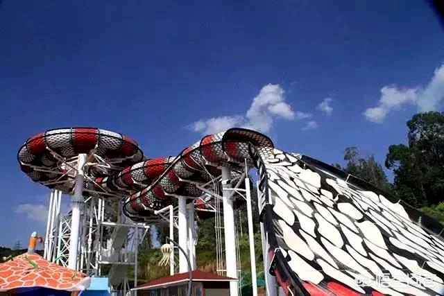 冲浪遭鲨鱼袭击身亡