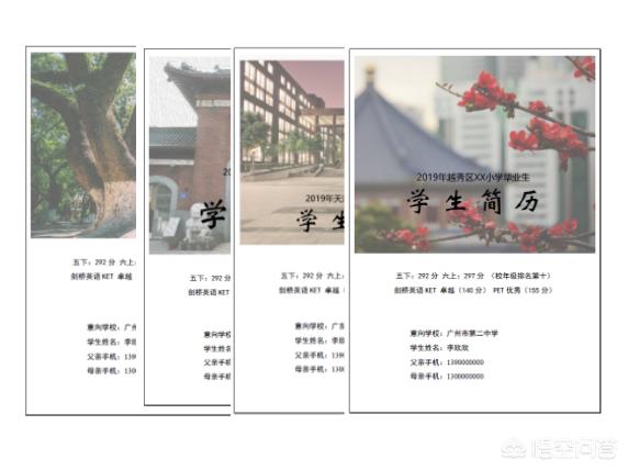 小升初简历制作网站有哪些,2021年小升初成绩咋查?