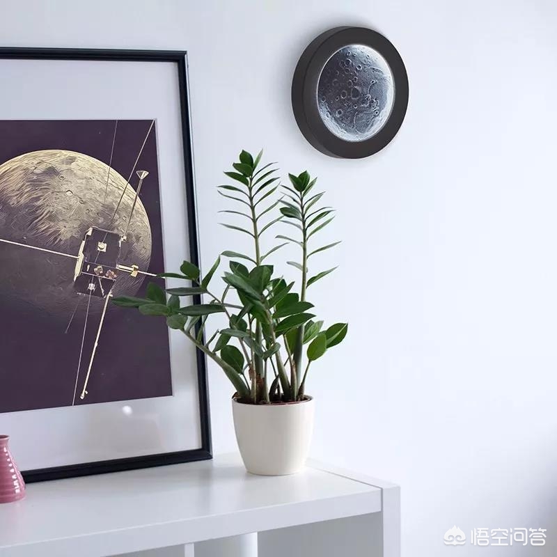 平价好物美妆刷子
