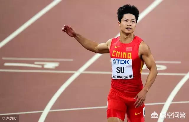 [苏炳添回应退役传闻]苏炳添啥时候退役？