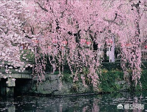 大连市有什么好的景区