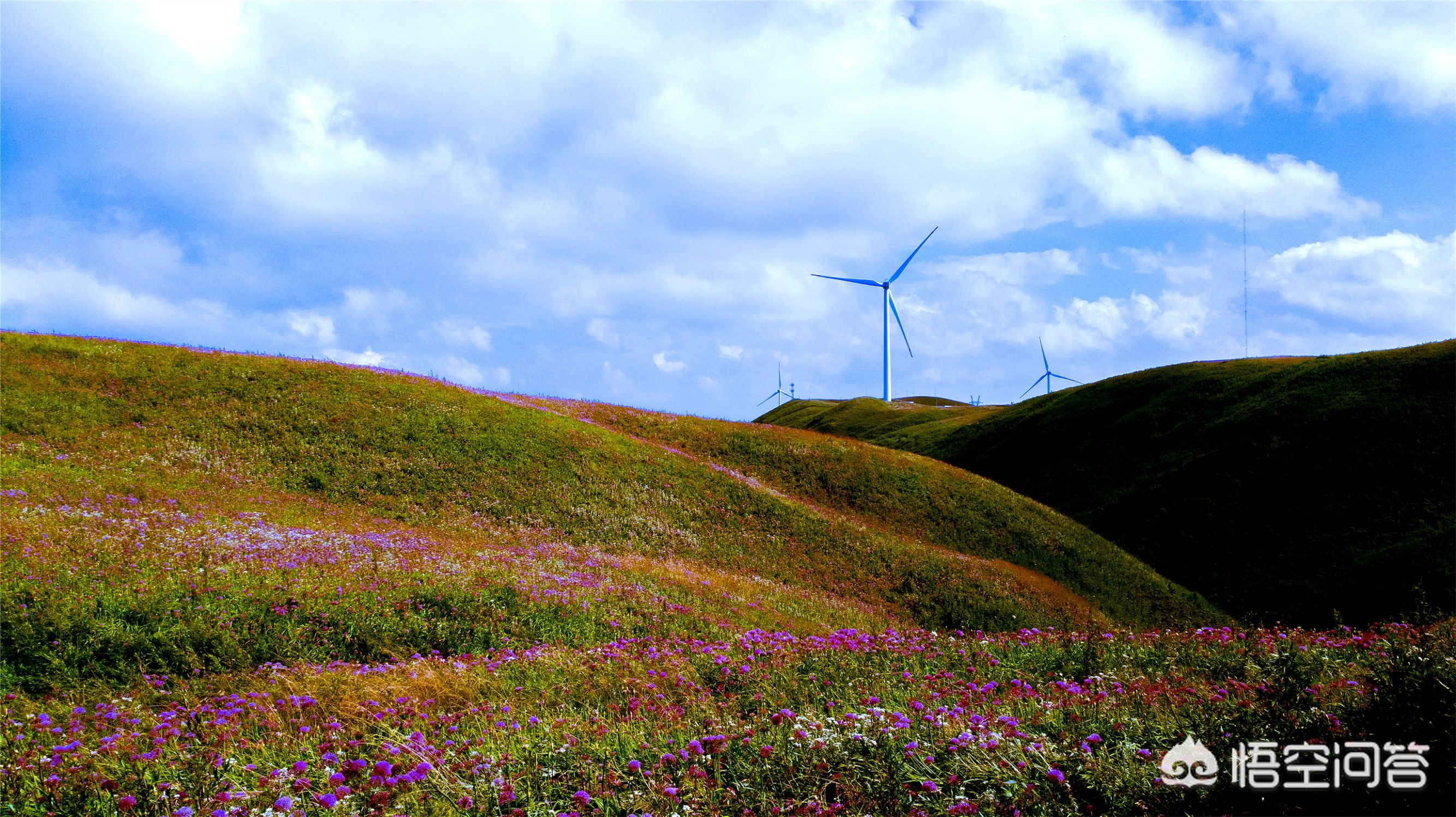 重庆之旅怎么样