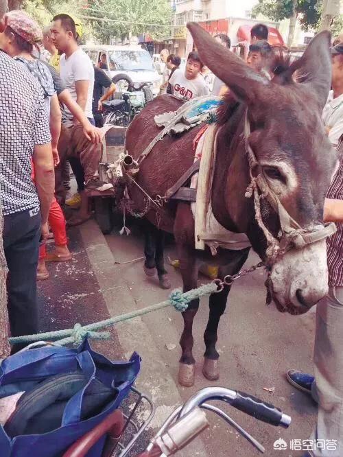 沈阳二手奥迪a8