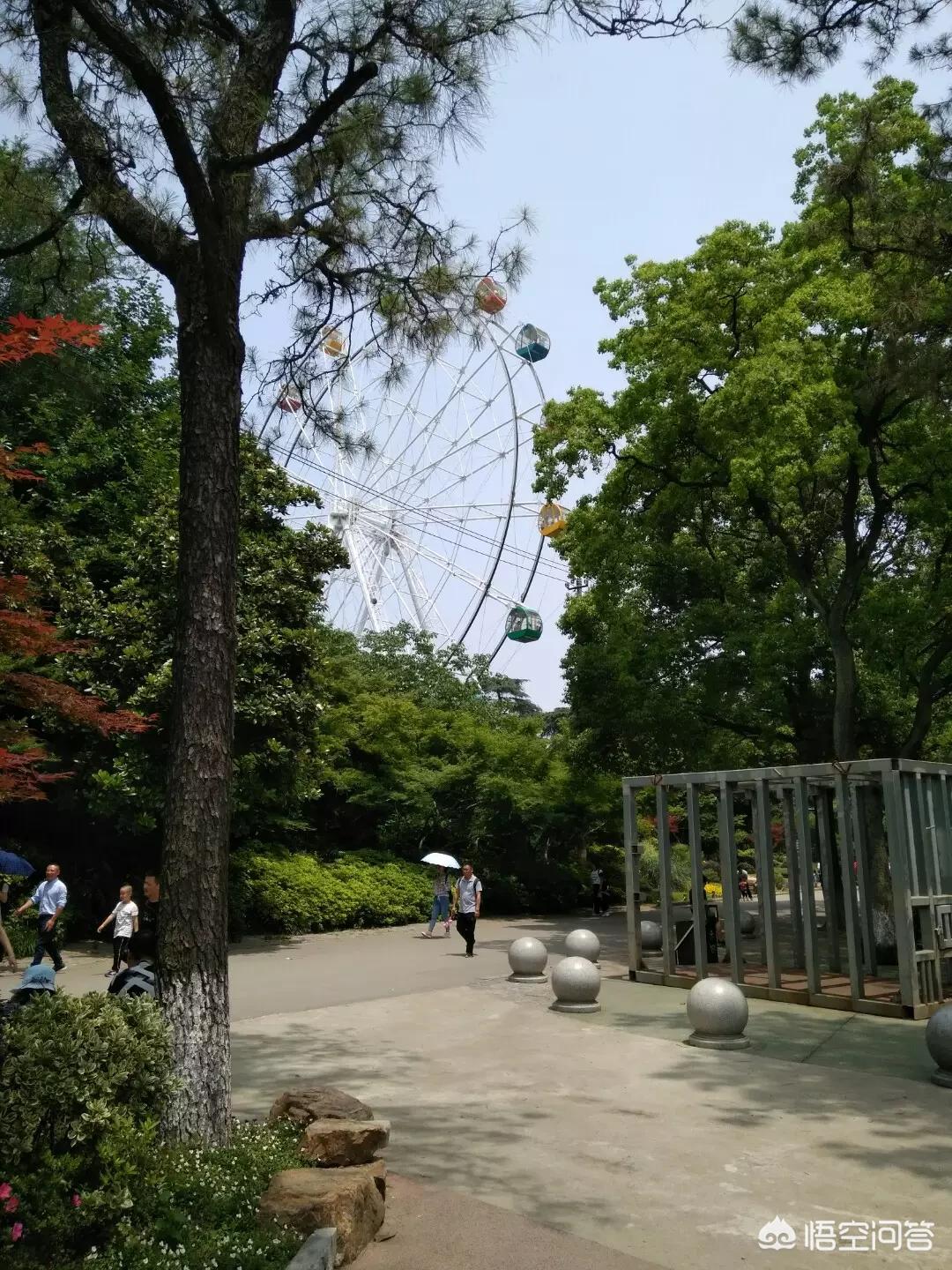 搭建网站后如何提升流量