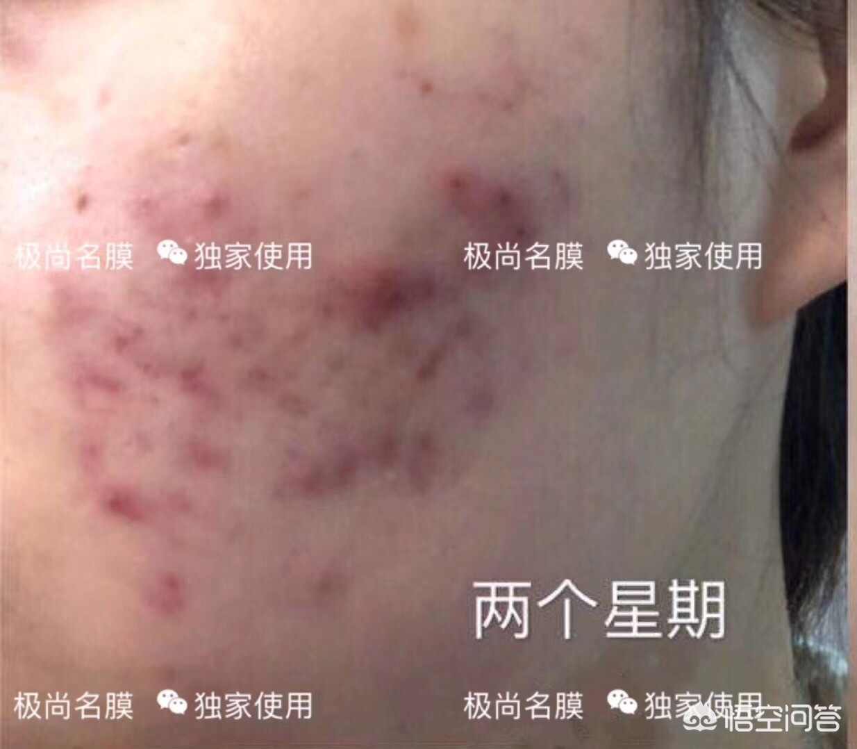 美妆博主豆豆推荐好物
