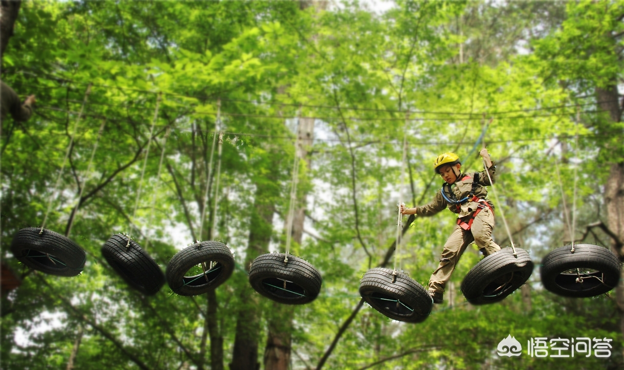 青少年玩的手速小游戏？