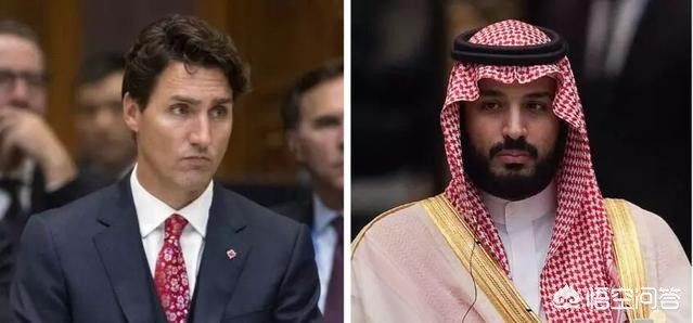加拿大支持两国方案（沙特和加拿大因何交恶？两国有什么实质性的冲突吗？）