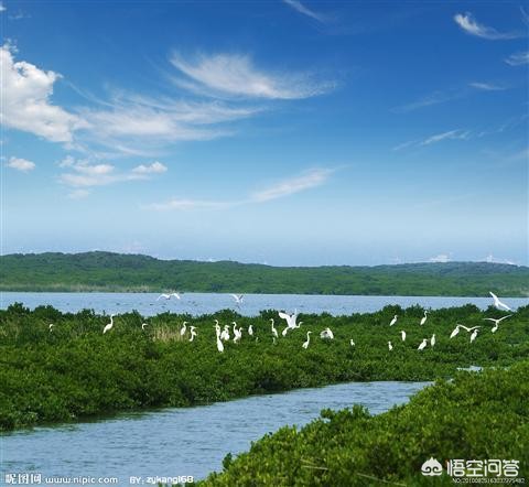 厦门市哪里有免费的公园 厦门市哪里有免费的公园