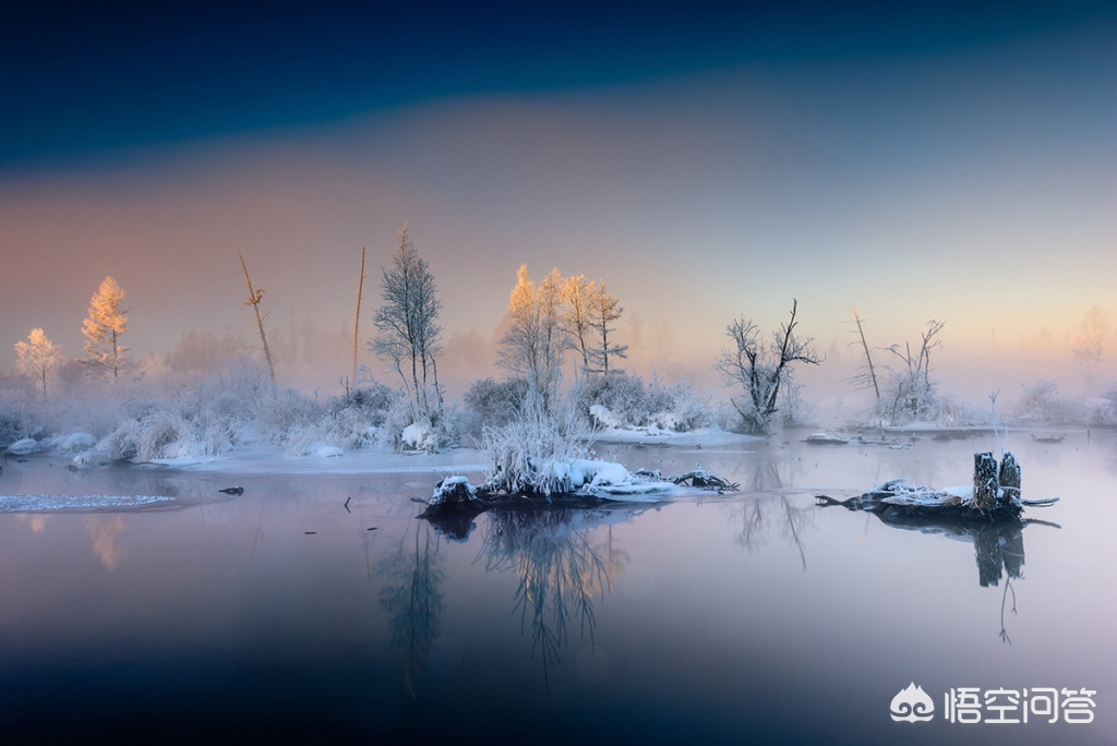 尼康相机怎么样尼康相机怎么样值得买吗