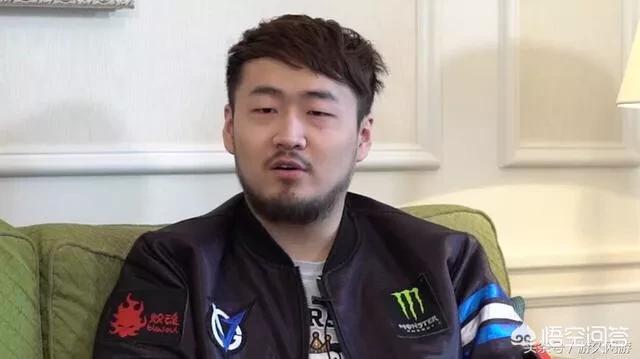 我是中国dota的希望2，我是中国DOTA的希望全文阅读