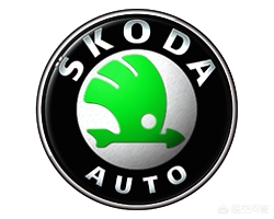 上海大众新车