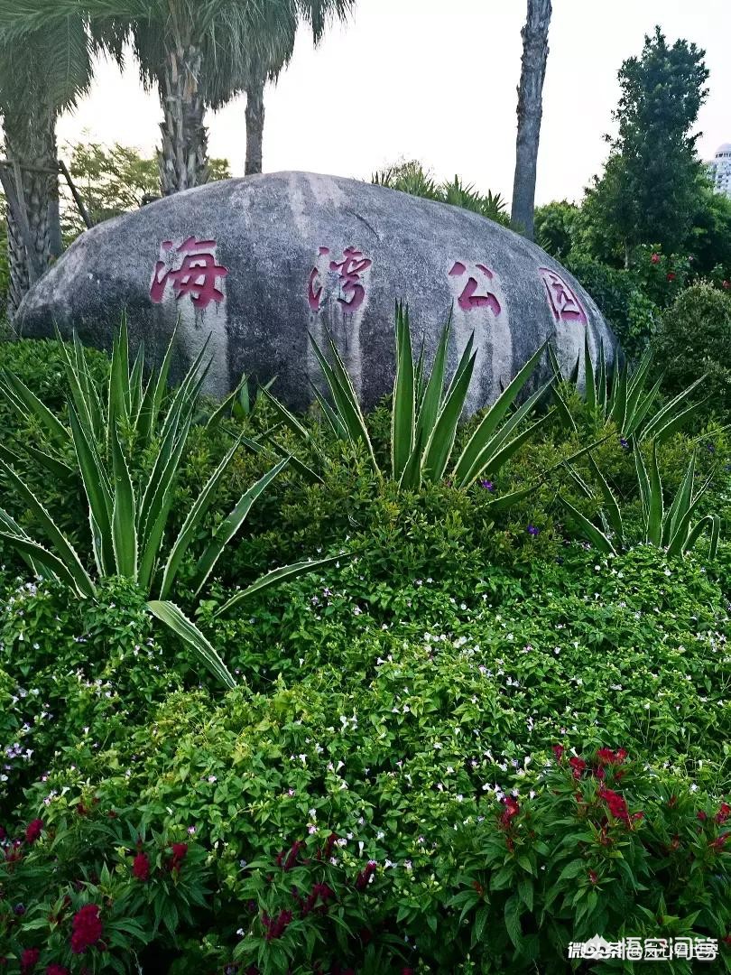 厦门市哪里有免费的公园 厦门市哪里有免费的公园