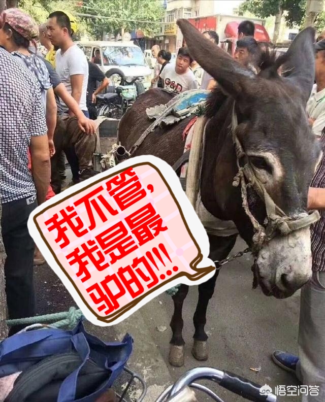 沈阳二手奥迪a8