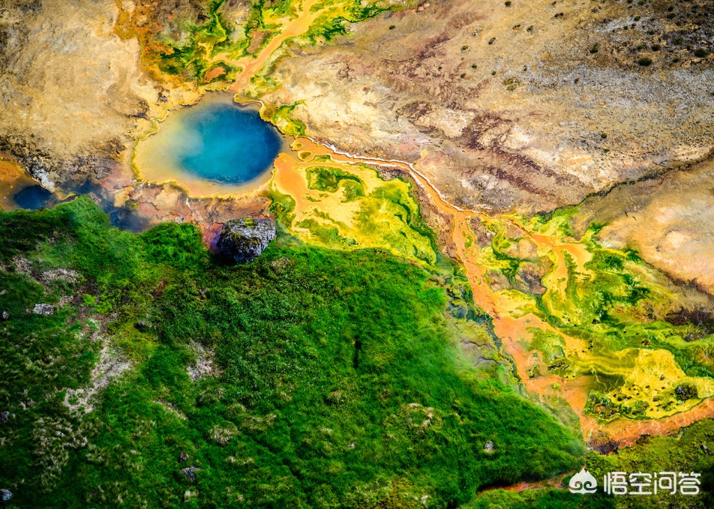 尼康相机怎么样尼康相机怎么样值得买吗