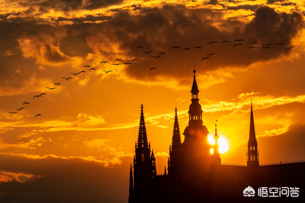 尼康相机怎么样尼康相机怎么样值得买吗