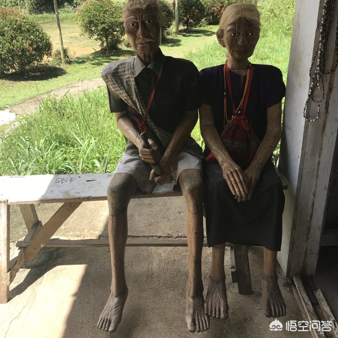 奇怪海外生活直播，奇怪海外生活直播在线观看