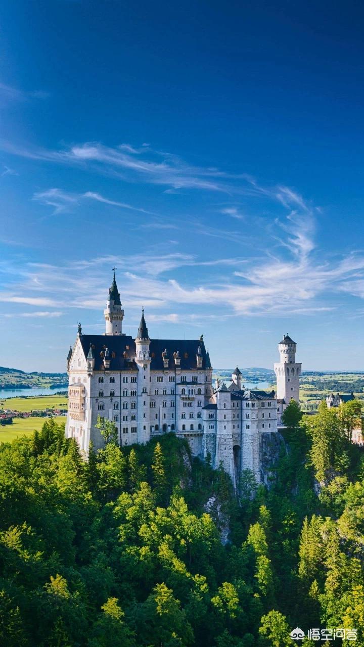 免费成人app 免费成人app