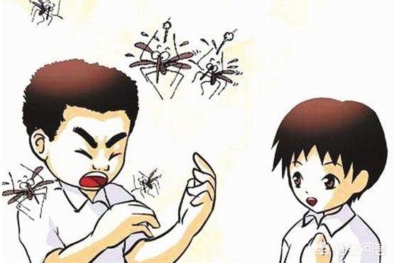 [秋蚊子最爱咬5类人]秋天的蚊子为啥咬人厉害？