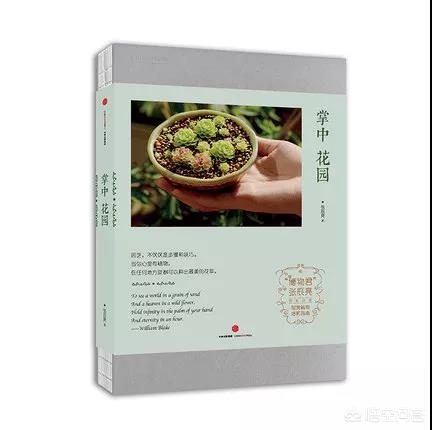 幸运四叶草粤语版，幸运四叶草粤语版百度云