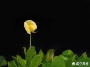 便携相机便携相机排行榜前十名