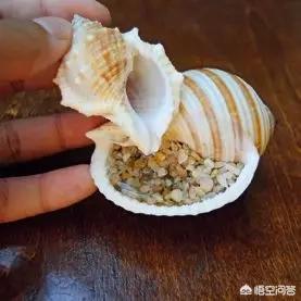 幸运四叶草粤语版，幸运四叶草粤语版百度云