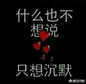 从来都没有从来都没有释怀,只是把难过压在了心底 从来都没有从来都没有释怀,只是把难过压在了心底