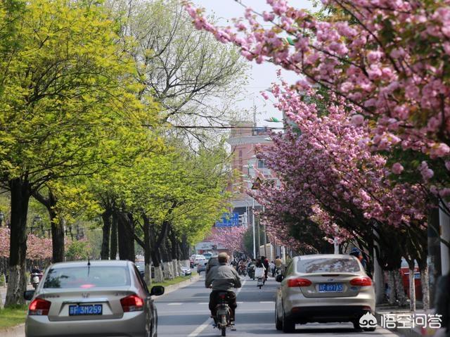 南通市城山路在哪个区