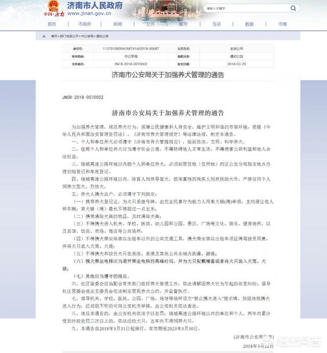 济南市哪个景点能带宠物