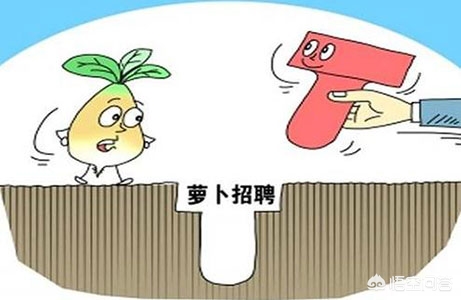 3千至4千招聘硕博年薪40万招聘博士