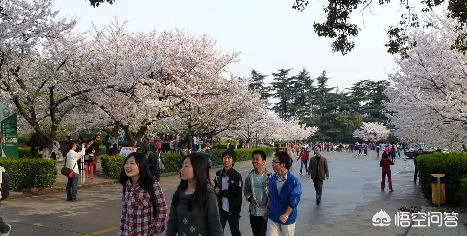 武汉大学外国语言文学专业怎么样？